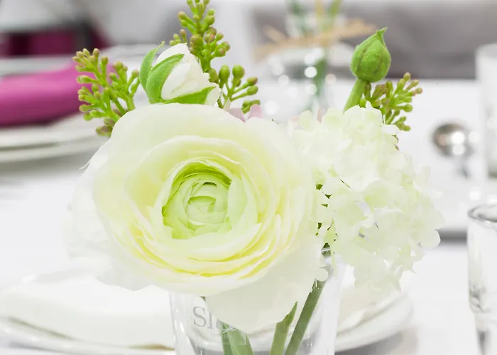 Soho Boutique אוביידו