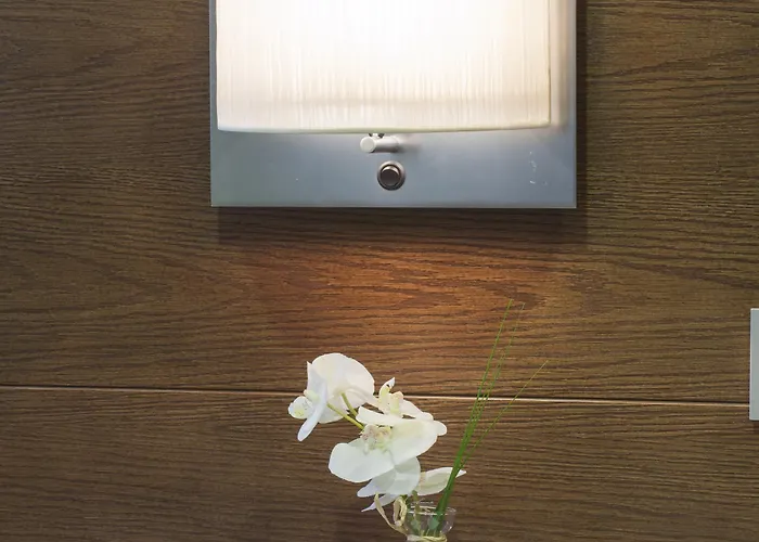 Soho Boutique מלון אוביידו